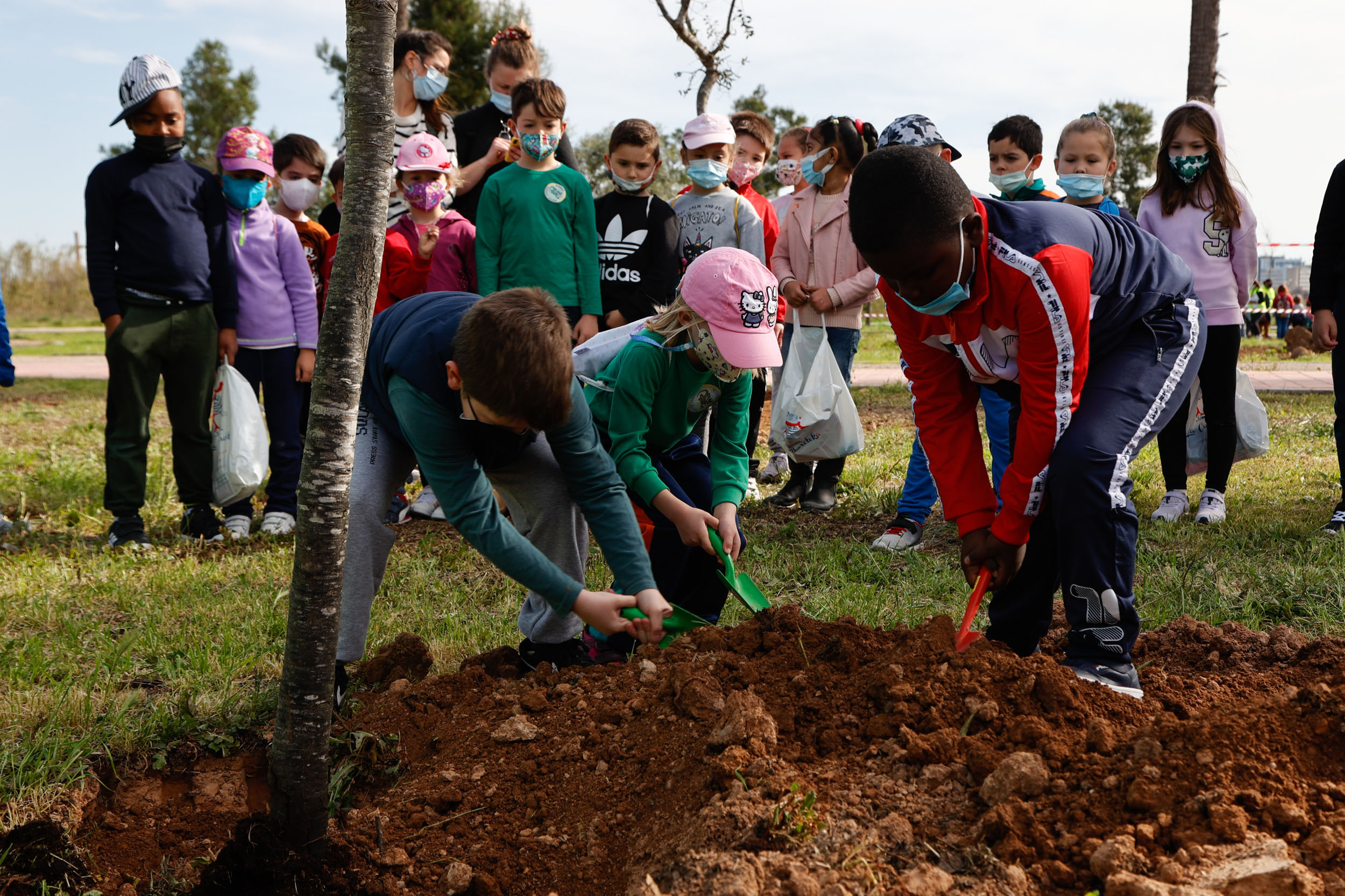 Día Árbol