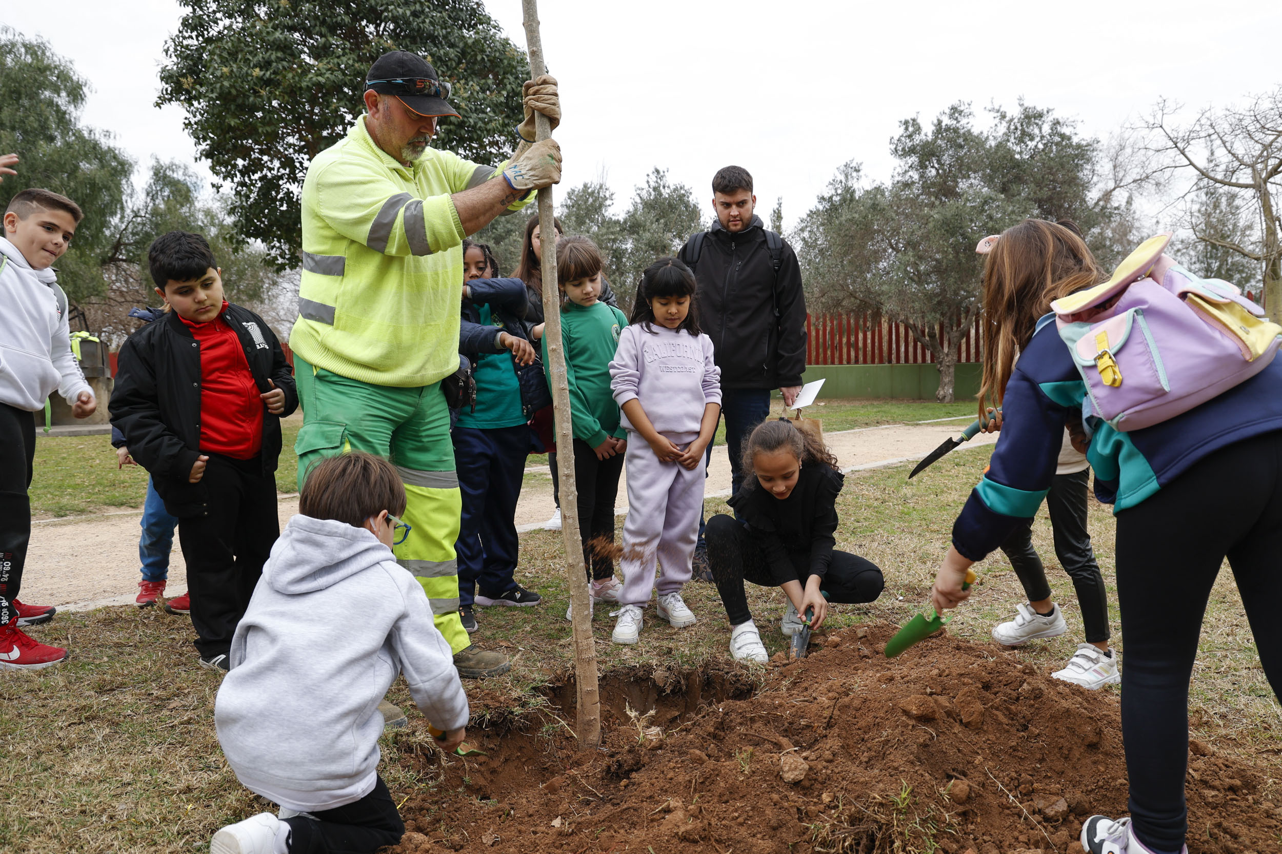 Platanción de árboles en Mislata 2024