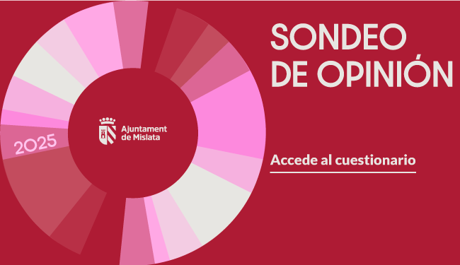 Slide. Sondeo de Opinión 2025