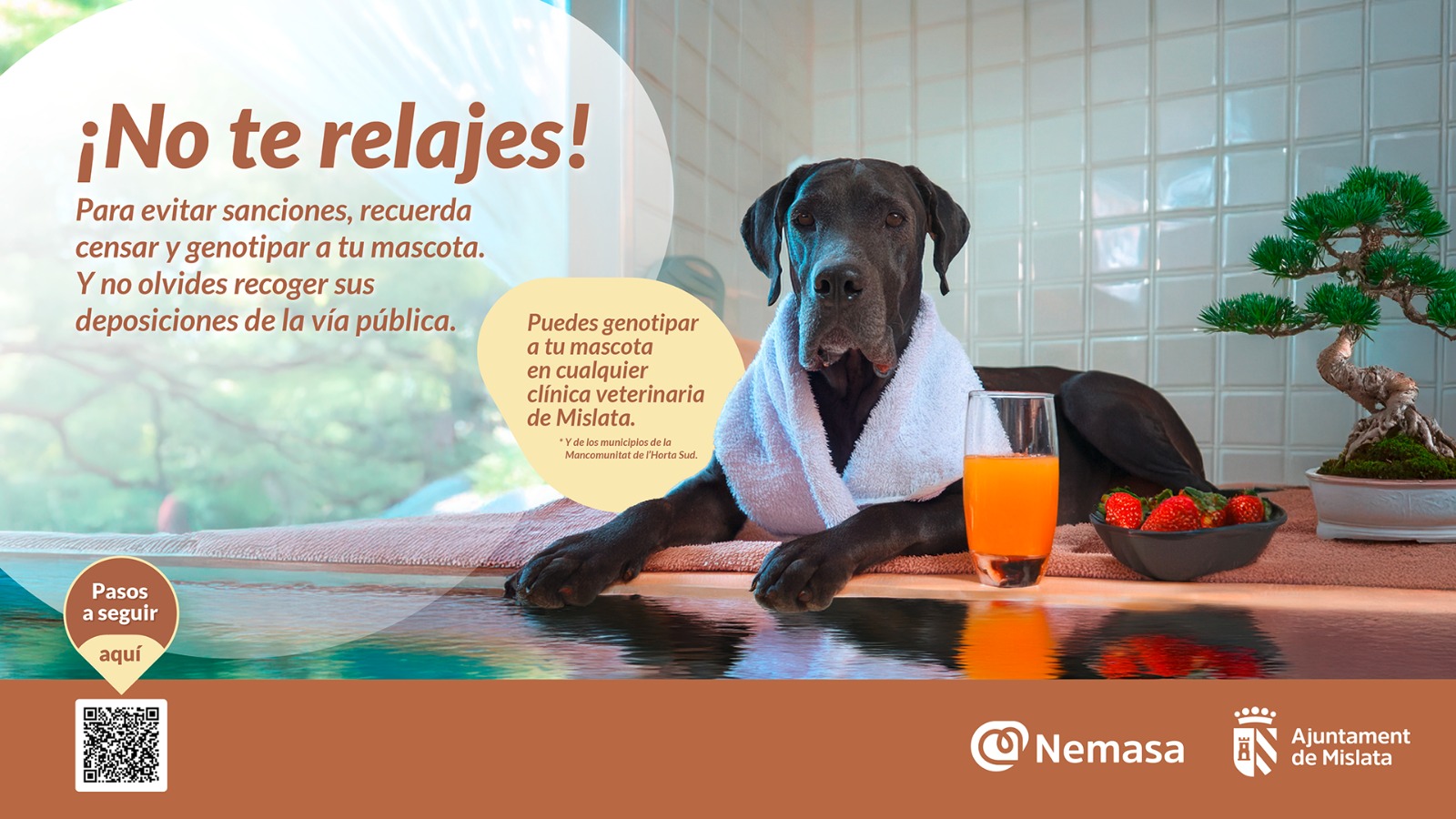 Slide. ADN canino 2025 - Gran Danés