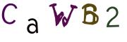 Imatge CAPTCHA