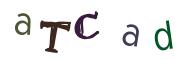 Imatge CAPTCHA