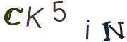 Imatge CAPTCHA