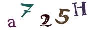 Imatge CAPTCHA