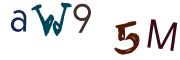 Imatge CAPTCHA