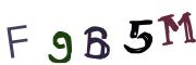Imatge CAPTCHA